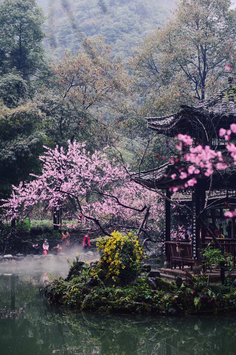 桃花源游记（关于桃花源的游记）