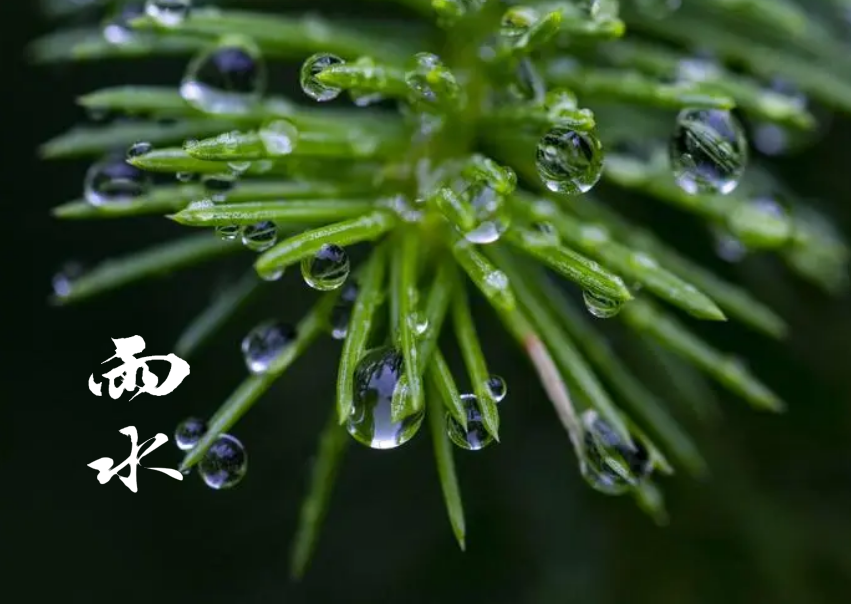 描写春季雨声的诗句（下春雨时的诗词）