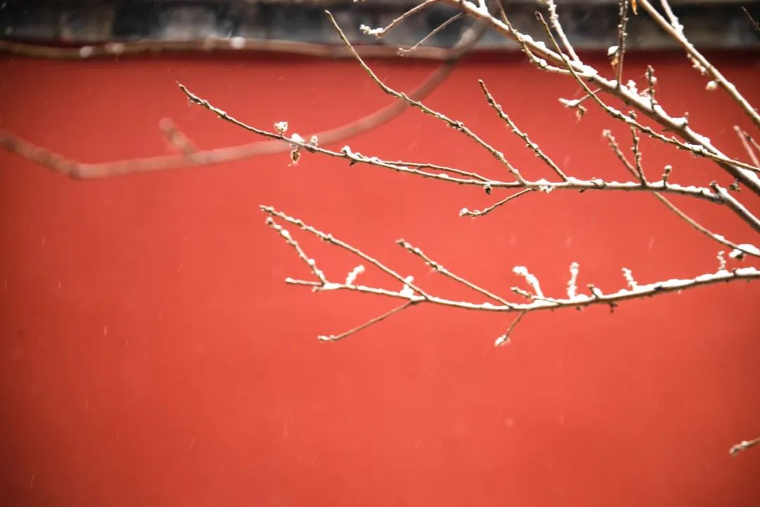 写雪最美的10首诗词,如冰如玉,纯美轻盈,美到灵魂里（写雪最美的10首诗词名句）