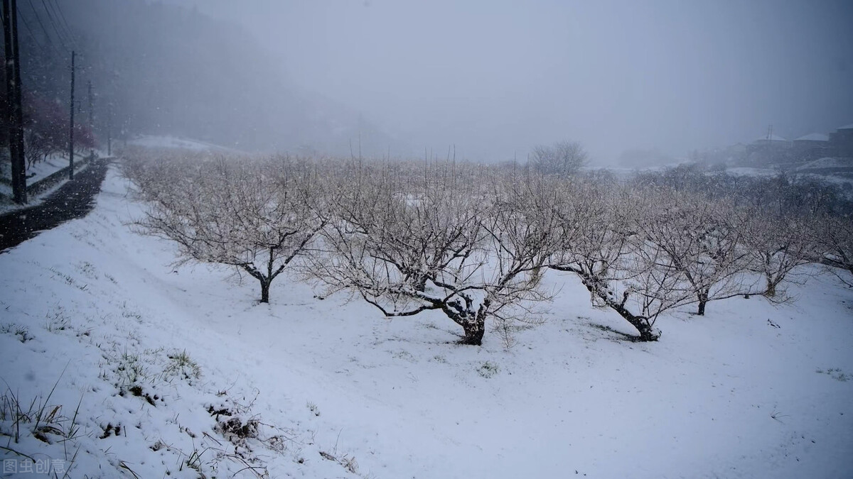 冬天里的雪抒情散文（冬雪的抒情散文）