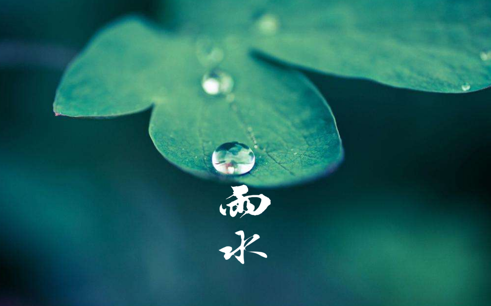 描写春季雨声的诗句（下春雨时的诗词）