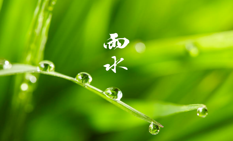 描写春季雨声的诗句（下春雨时的诗词）