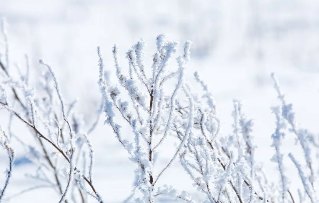 写雪最美的10首诗词,如冰如玉,纯美轻盈,美到灵魂里（写雪最美的10首诗词名句）