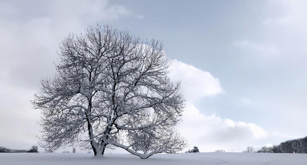 罗隐的一首《雪》，不提一个雪字，却细腻逼真