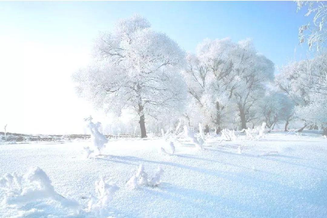 散文随笔：雪忆（关于雪的散文随笔）