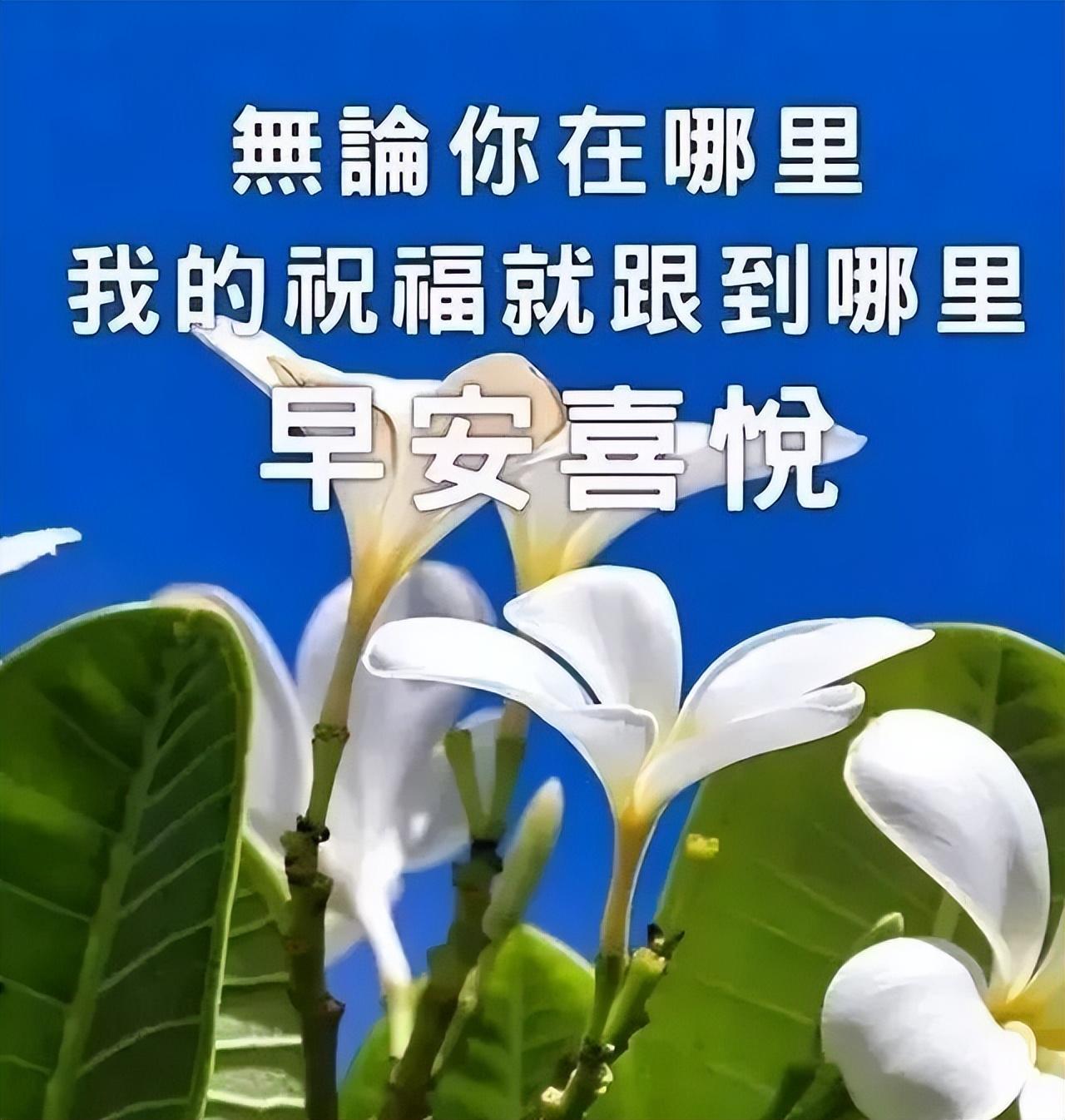 周一早安心语正能量周一早安励志语录分享（周一早安心语正能量经典语录）