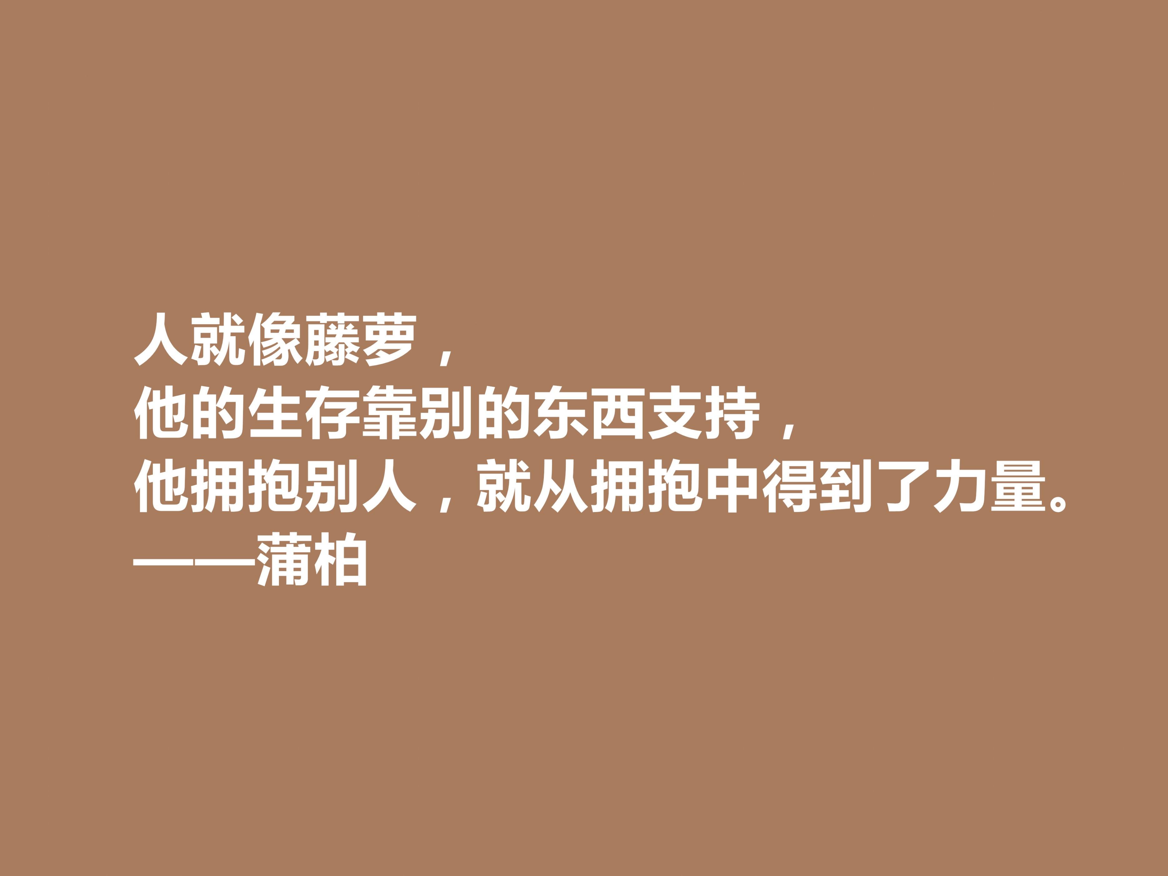 英国励志诗人，蒲柏十句格言，美轮美奂，读懂能够洗涤心灵，爱了