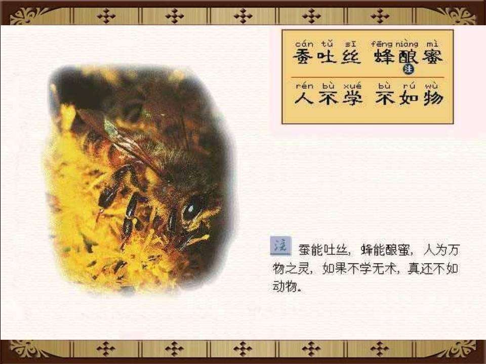 三字经拼音版全文解释图片（《三字经》全文正确拼音及翻译）