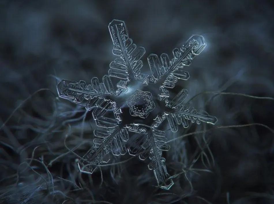 雪的形状有哪几种（雪有几种形状）