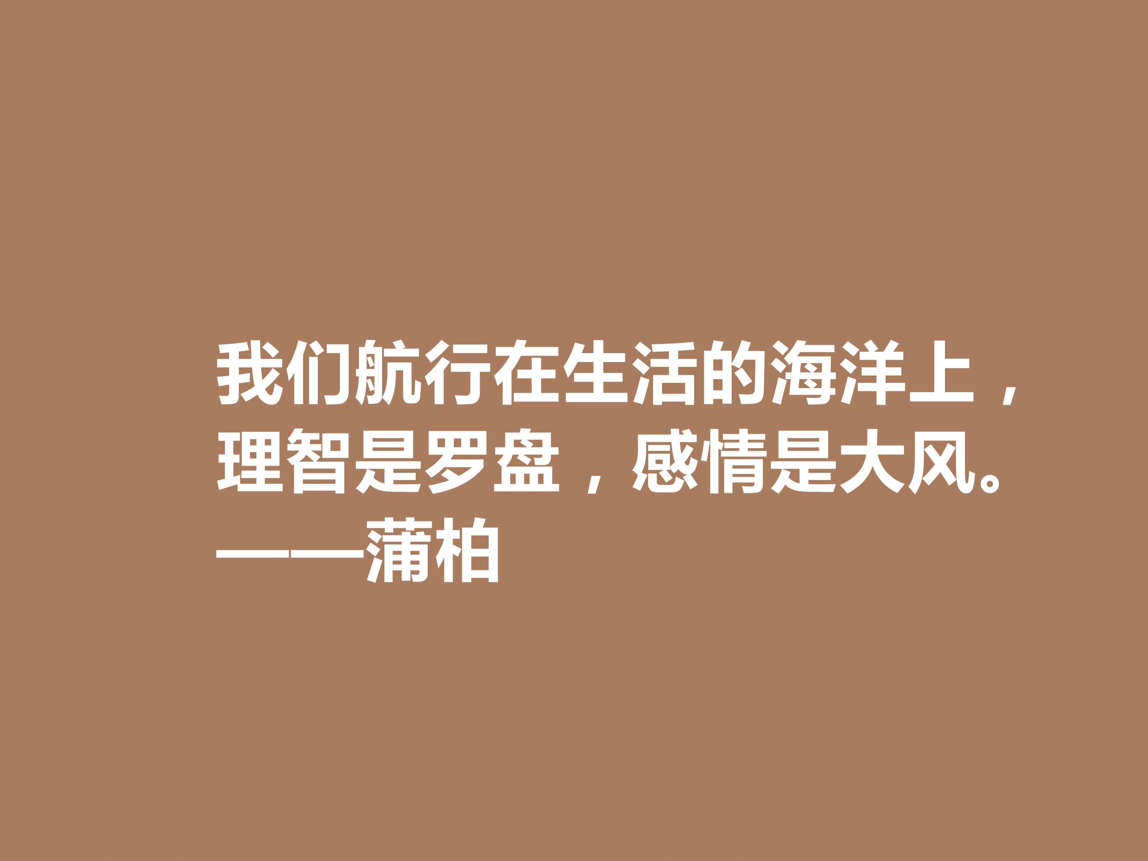 英国励志诗人，蒲柏十句格言，美轮美奂，读懂能够洗涤心灵，爱了