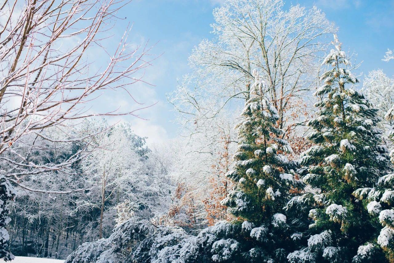 咏雪诗词大全（咏雪诗词名句）