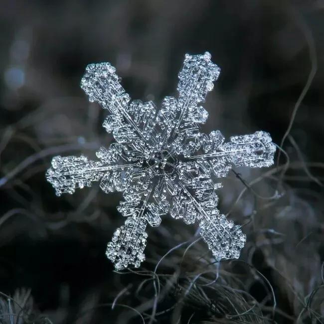 雪的形状有哪几种（雪有几种形状）