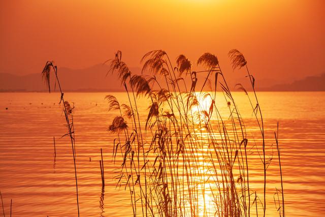 夕阳落下的唯美句子短句（夕阳落下的唯美句子图片）