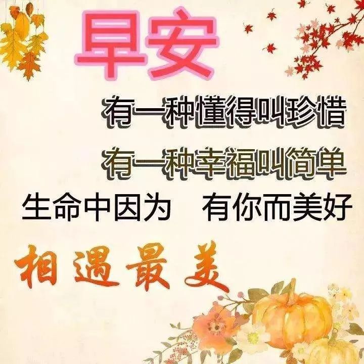 今天早上好的问候美句（早上好!新的一天问候语）