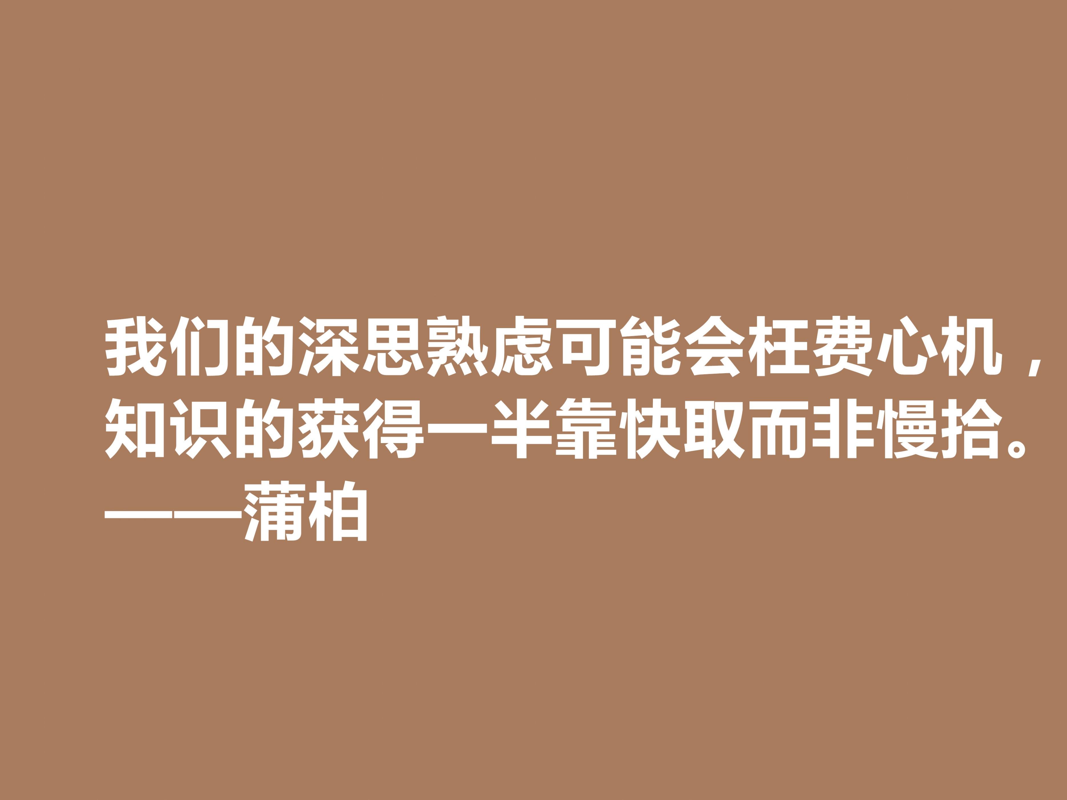 英国励志诗人，蒲柏十句格言，美轮美奂，读懂能够洗涤心灵，爱了