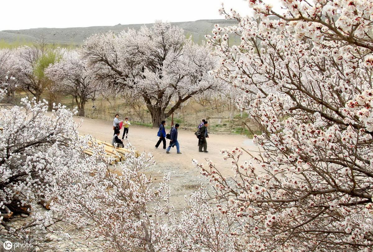 暖心唯美爱情古风句子（古风爱情语录短句 甜蜜）