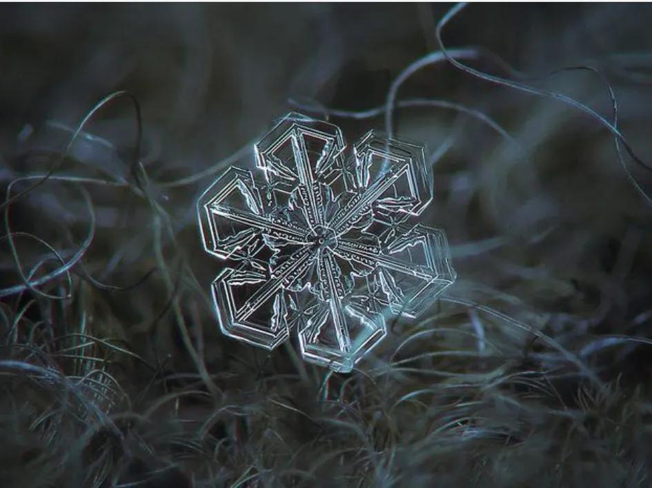 雪的形状有哪几种（雪有几种形状）