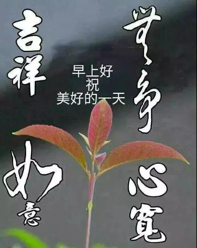 感恩是最强大的正能量。天有阴晴，月有圆缺，人有祸福