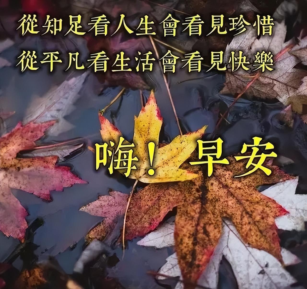 微信早安心语正能量励志（发给微信好友的早安心语）