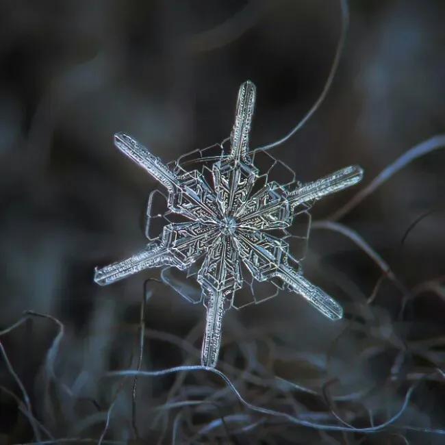 雪的形状有哪几种（雪有几种形状）