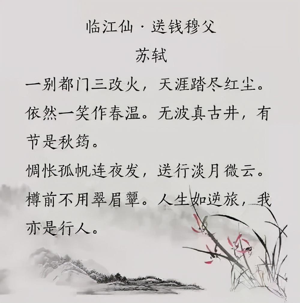 苏轼的词精选十首赏析（苏轼词作名篇及赏析）