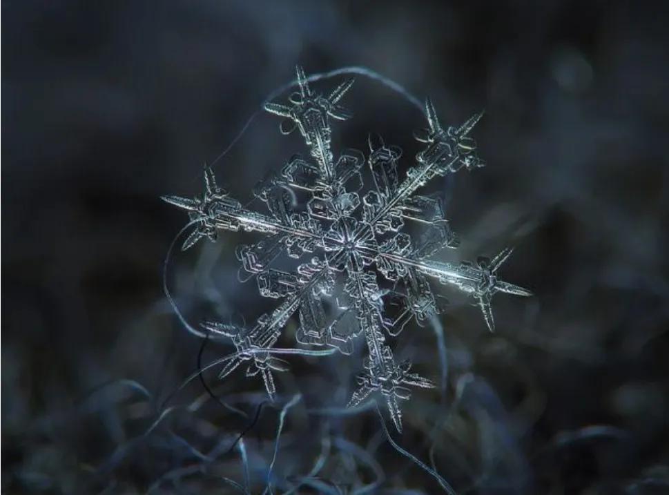 雪的形状有哪几种（雪有几种形状）