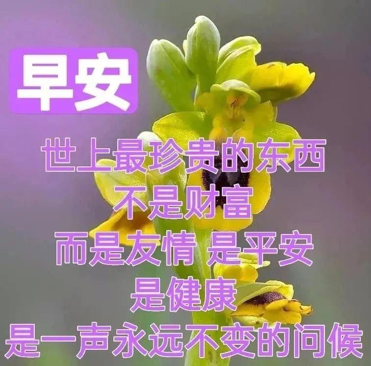 早安心语每日一语（早安暖心话短句）