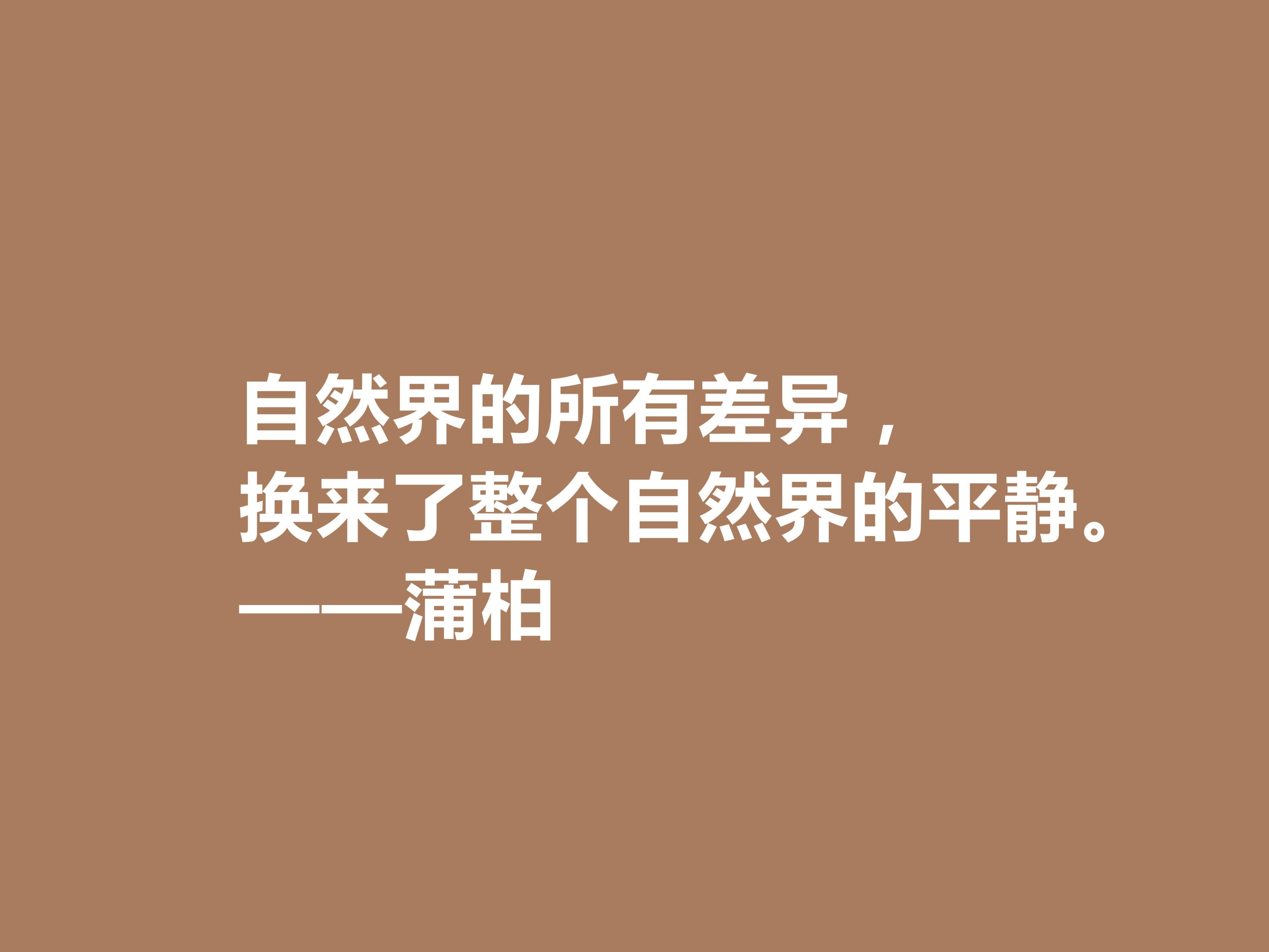 英国励志诗人，蒲柏十句格言，美轮美奂，读懂能够洗涤心灵，爱了