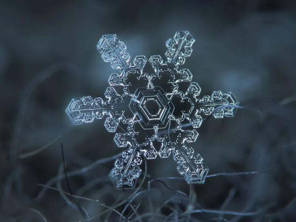 雪的形状有哪几种（雪有几种形状）