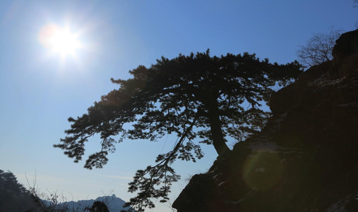 写泰山的古诗词有哪些（写泰山的诗句有什么）