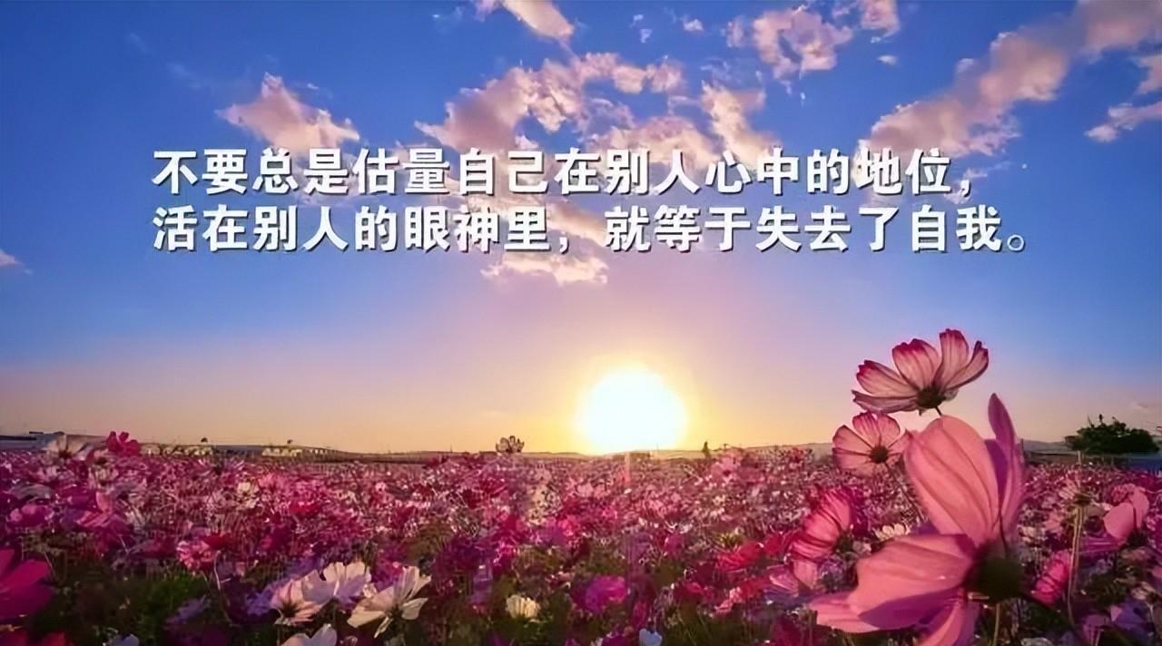 简单霸气的励志语录（霸气人生格言励志短句）