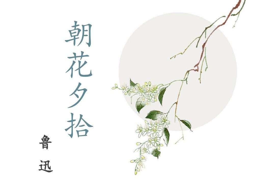 《朝花夕拾》读书笔记（朝花夕拾读书笔记摘抄及感悟）