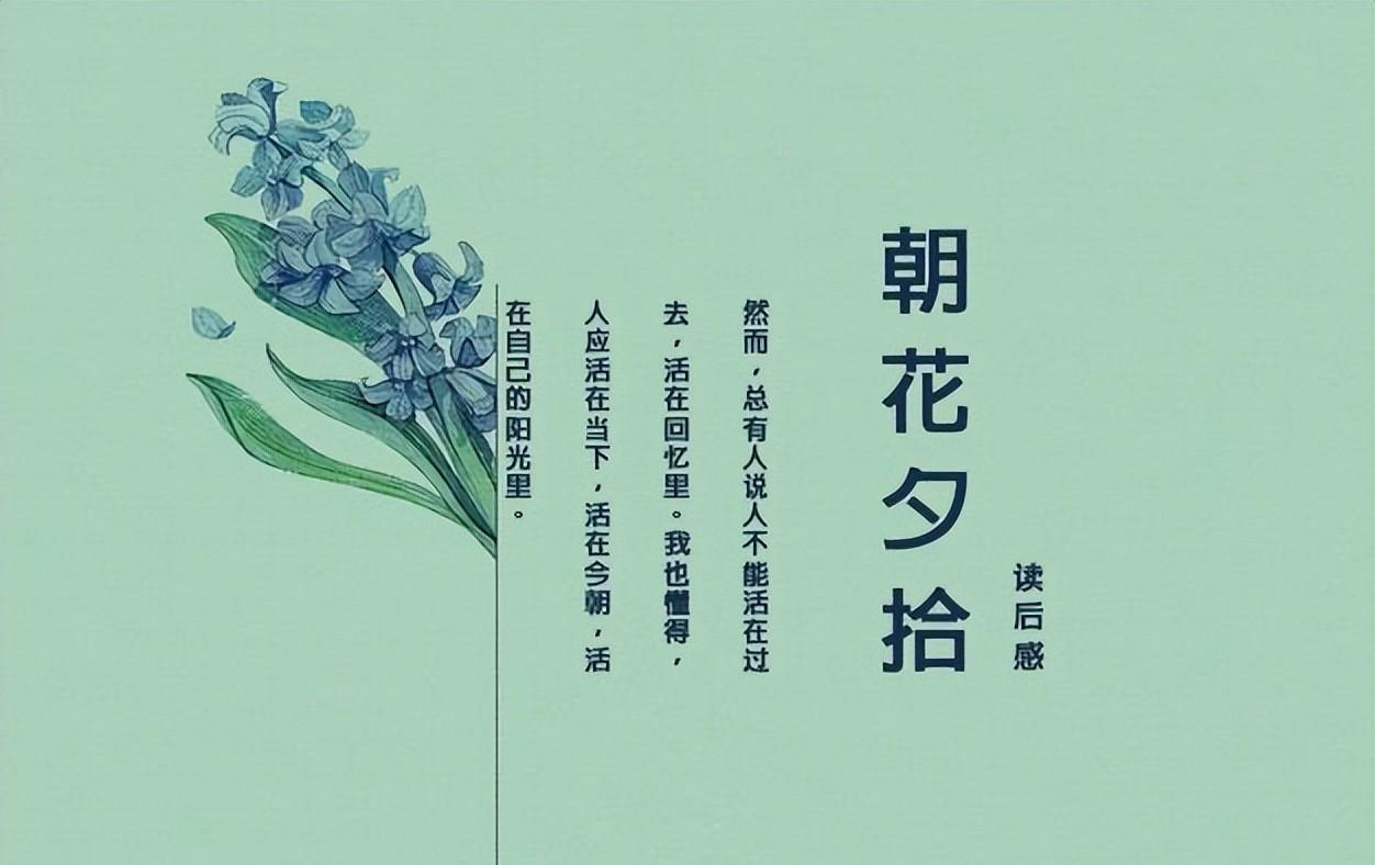 《朝花夕拾》读书笔记（朝花夕拾读书笔记摘抄及感悟）