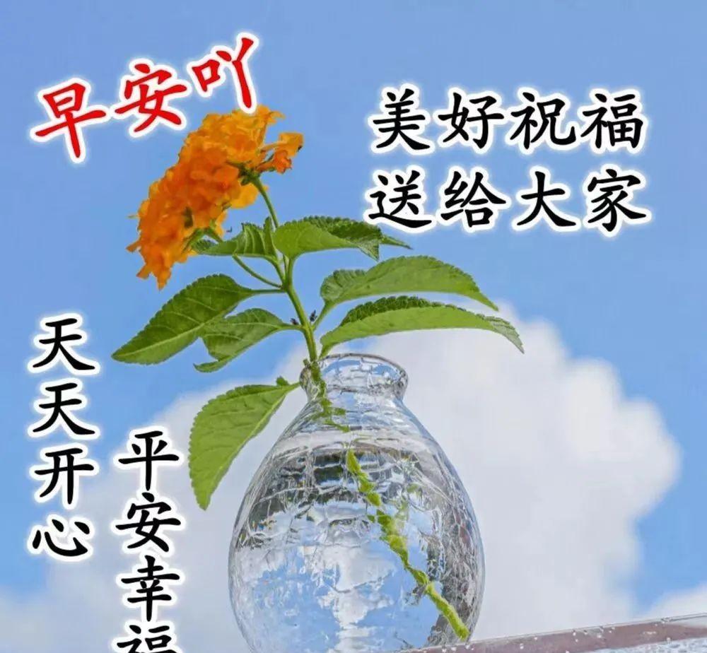 感恩遇见早安祝福（早安吉祥缘分祝福友谊的句子）