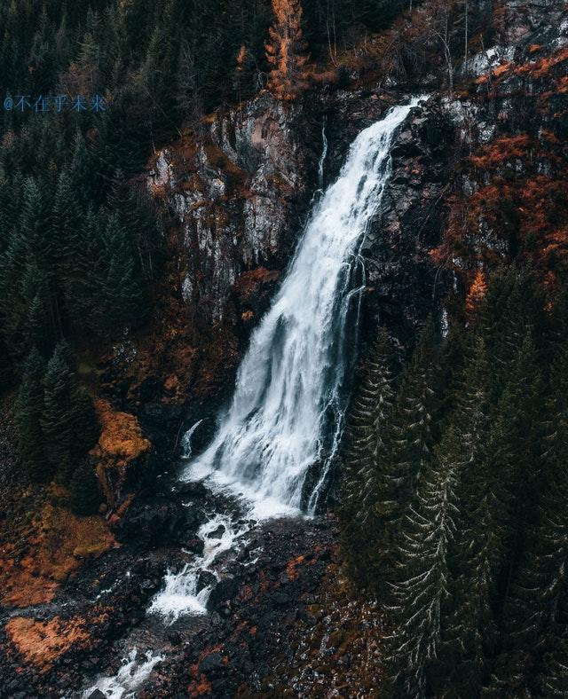 唐诗与宋词中的不同春景