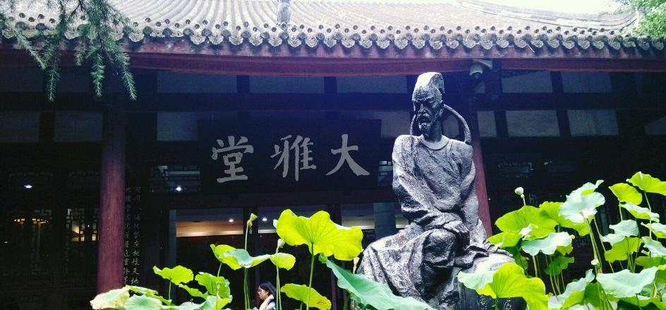 读这么多年“两个黄鹂鸣翠柳”，很多人不懂杜甫为何不用“两只”