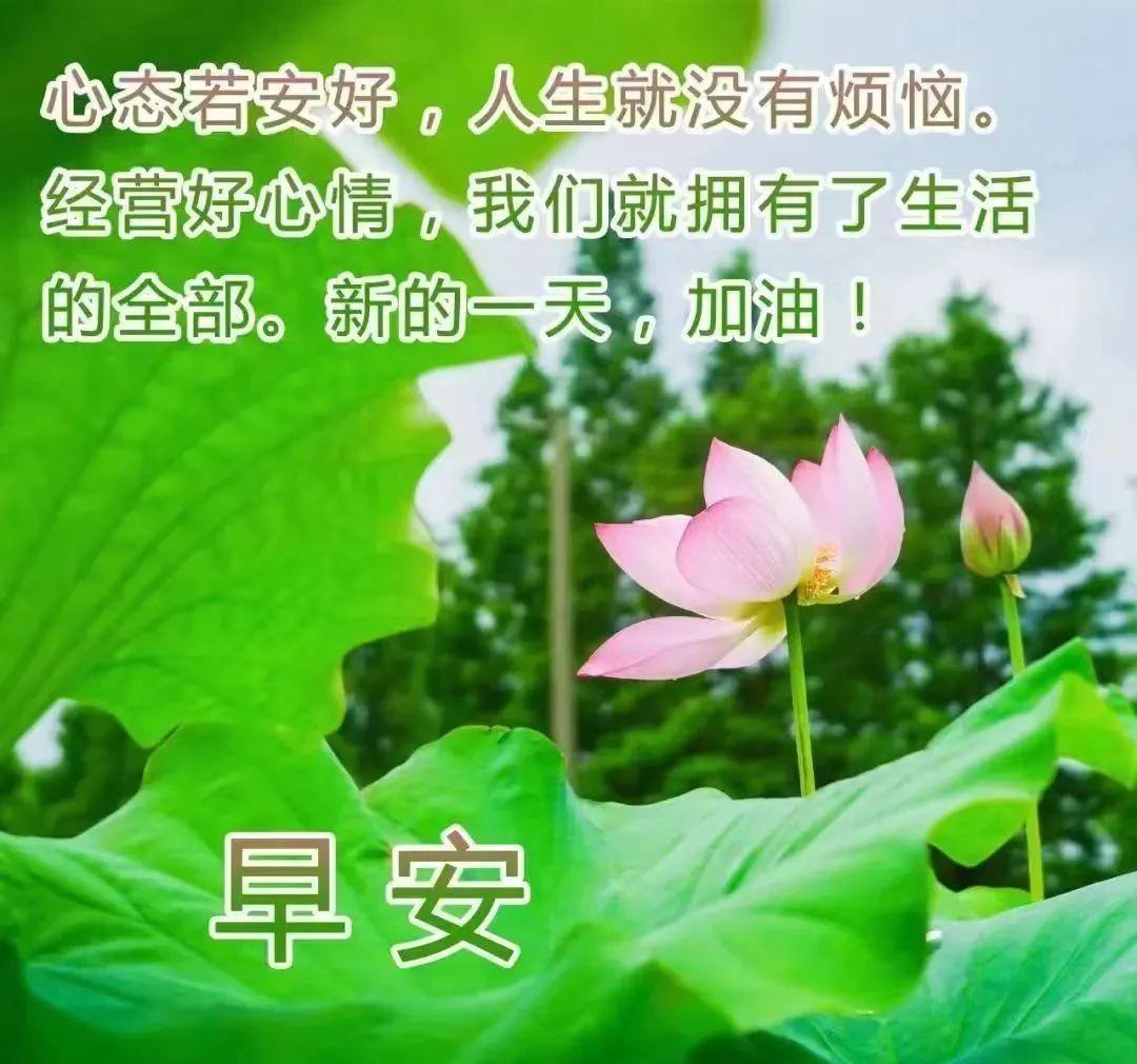 早安感恩友情问候语（感恩朋友每天的早安问候）