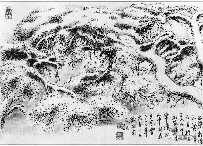 线描松树图片大全大图（松树的线描画图片）