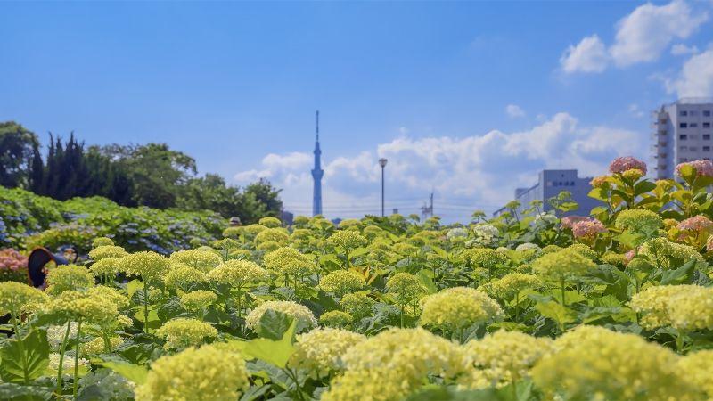 关于摄影的名人名言大全（关于摄影的名人名言有哪些）