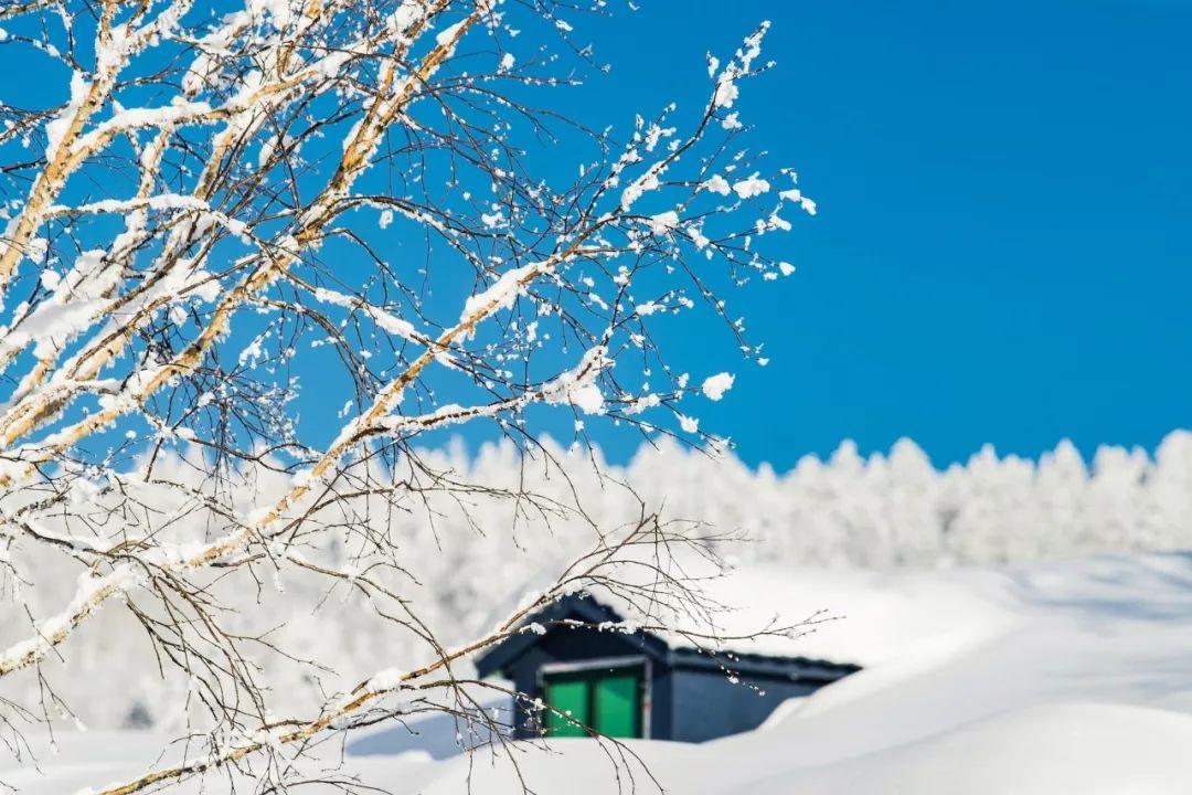 咏雪中的千古名句（关于咏雪的诗词）