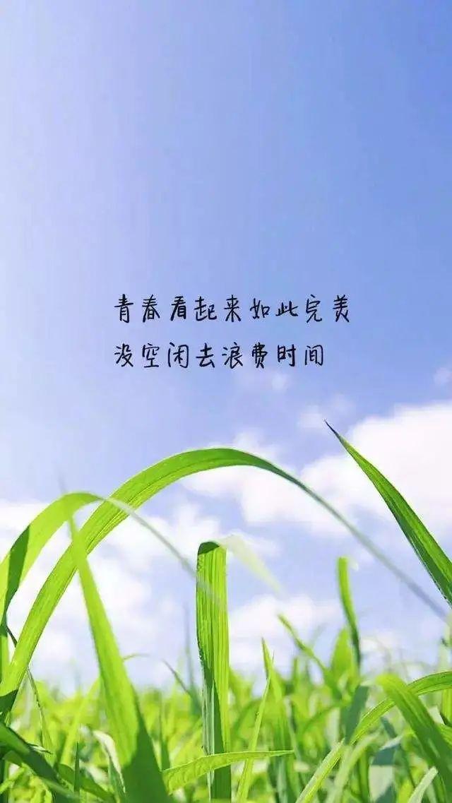 关于梦想早安心语正能量一句话（梦想早安语录）