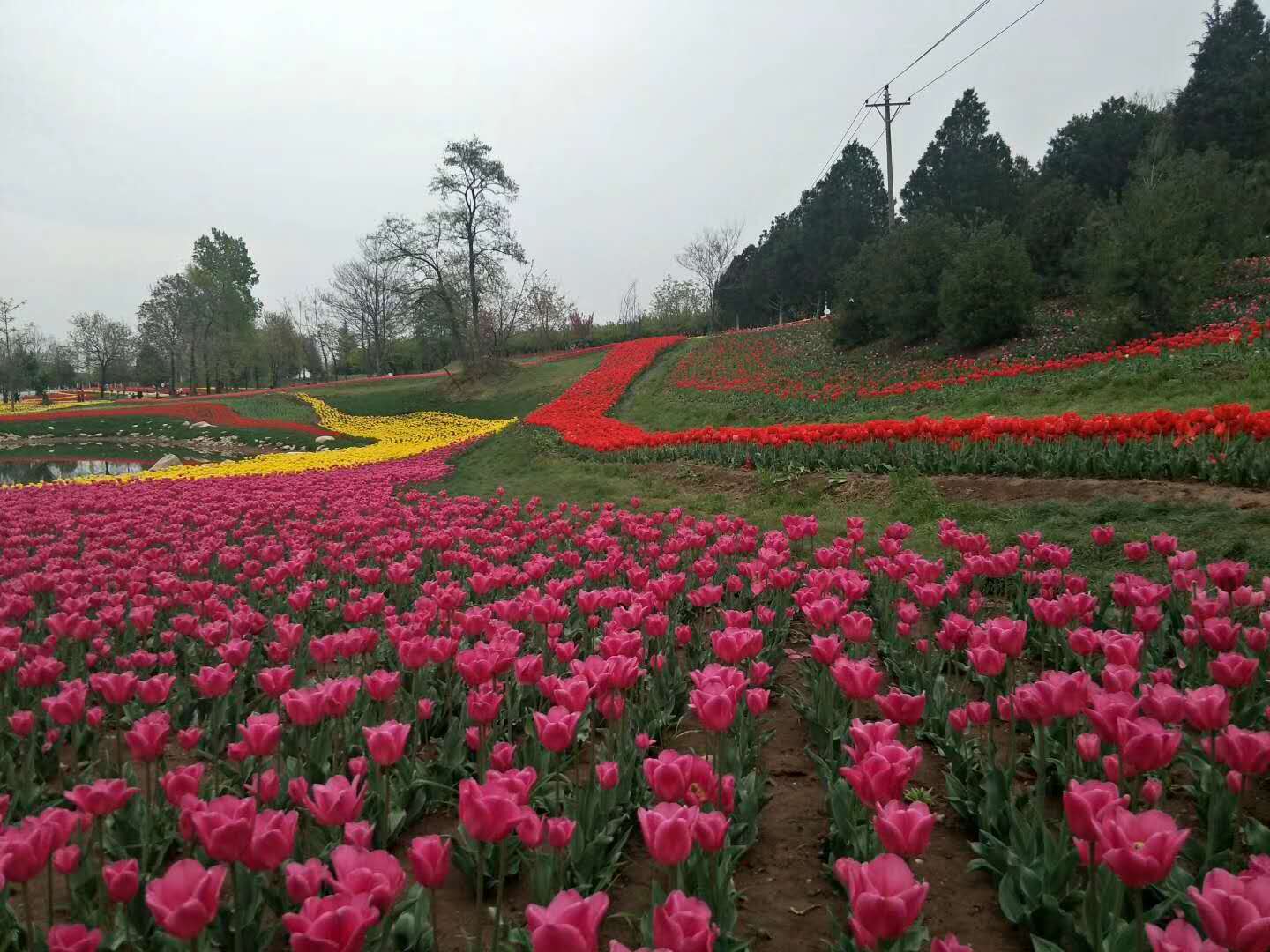 关于清明节的诗五首（清明节抒情诗词有哪些）