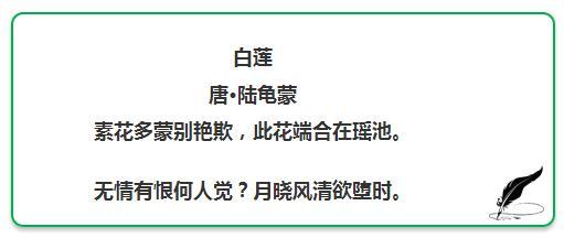 咏荷诗句经典（十首绝美的咏荷古诗）