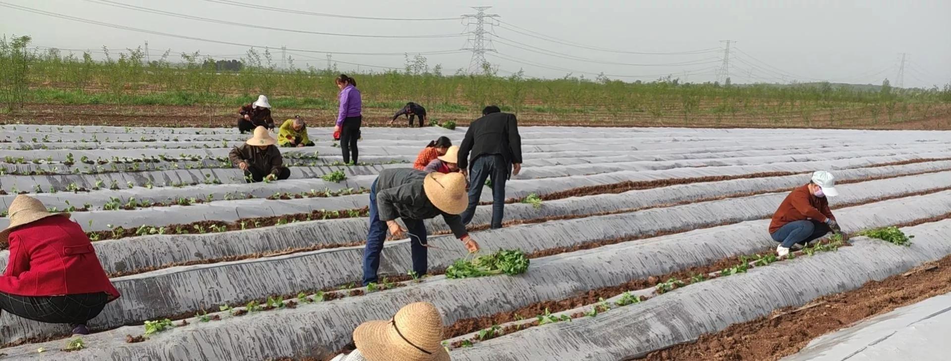 回到家乡，感受那份温馨，心灵的萌动，填满了整个生活