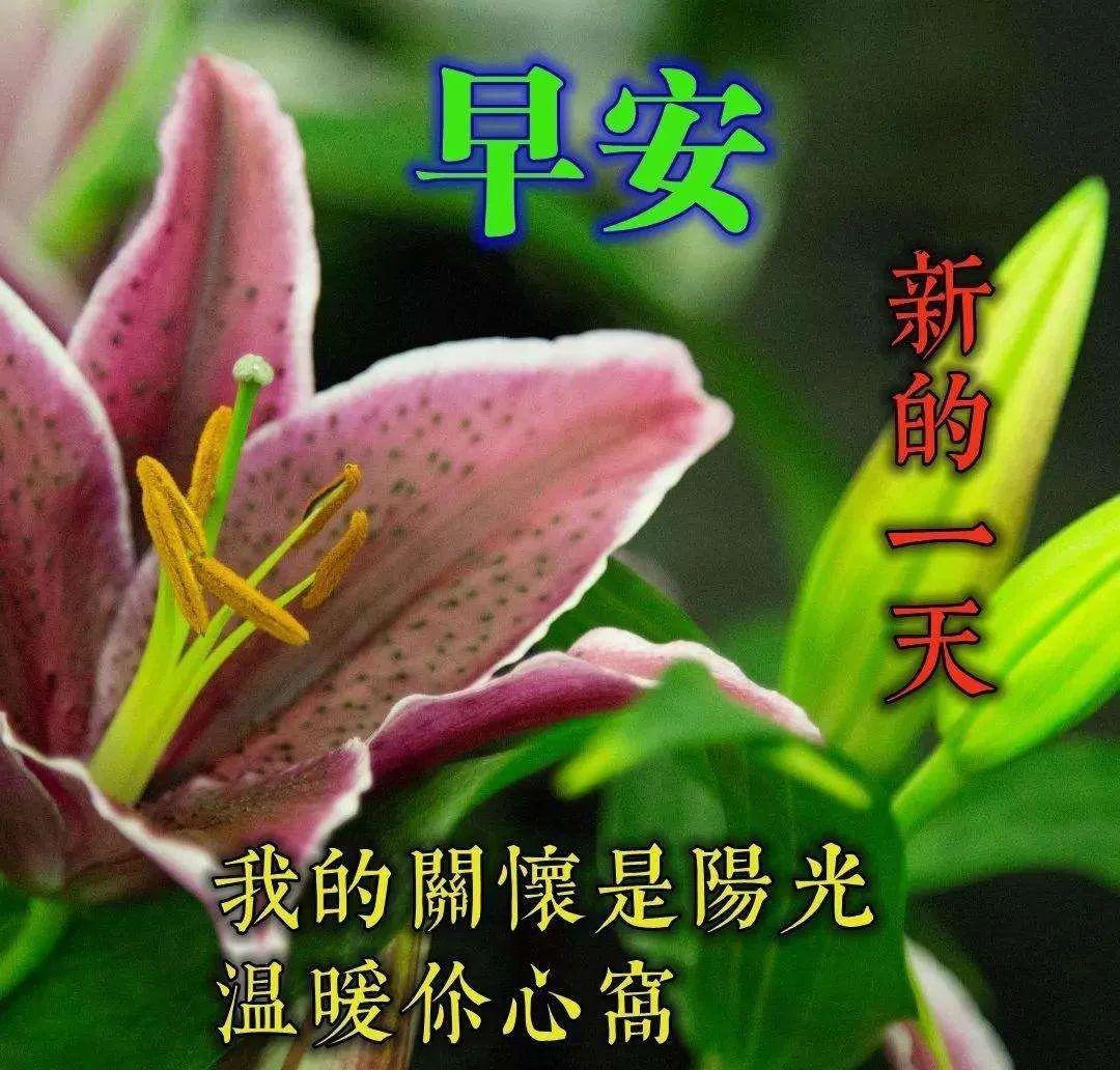 第一个愿望送给你,愿你永远幸福又温馨,早安语录（把最美的祝福送给你早安）