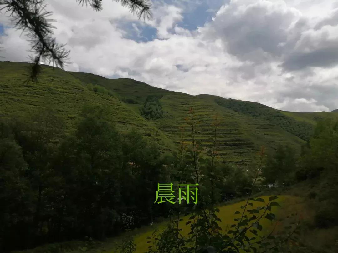 中秋诗词：对《原创：古今韵七绝二首：晚雨‖晨雨》的引证解释