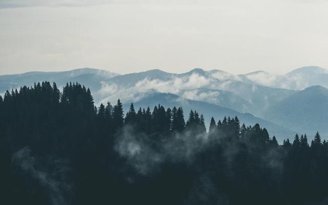 李商隐写的关于雨的诗（写雨后初晴美景的诗歌）