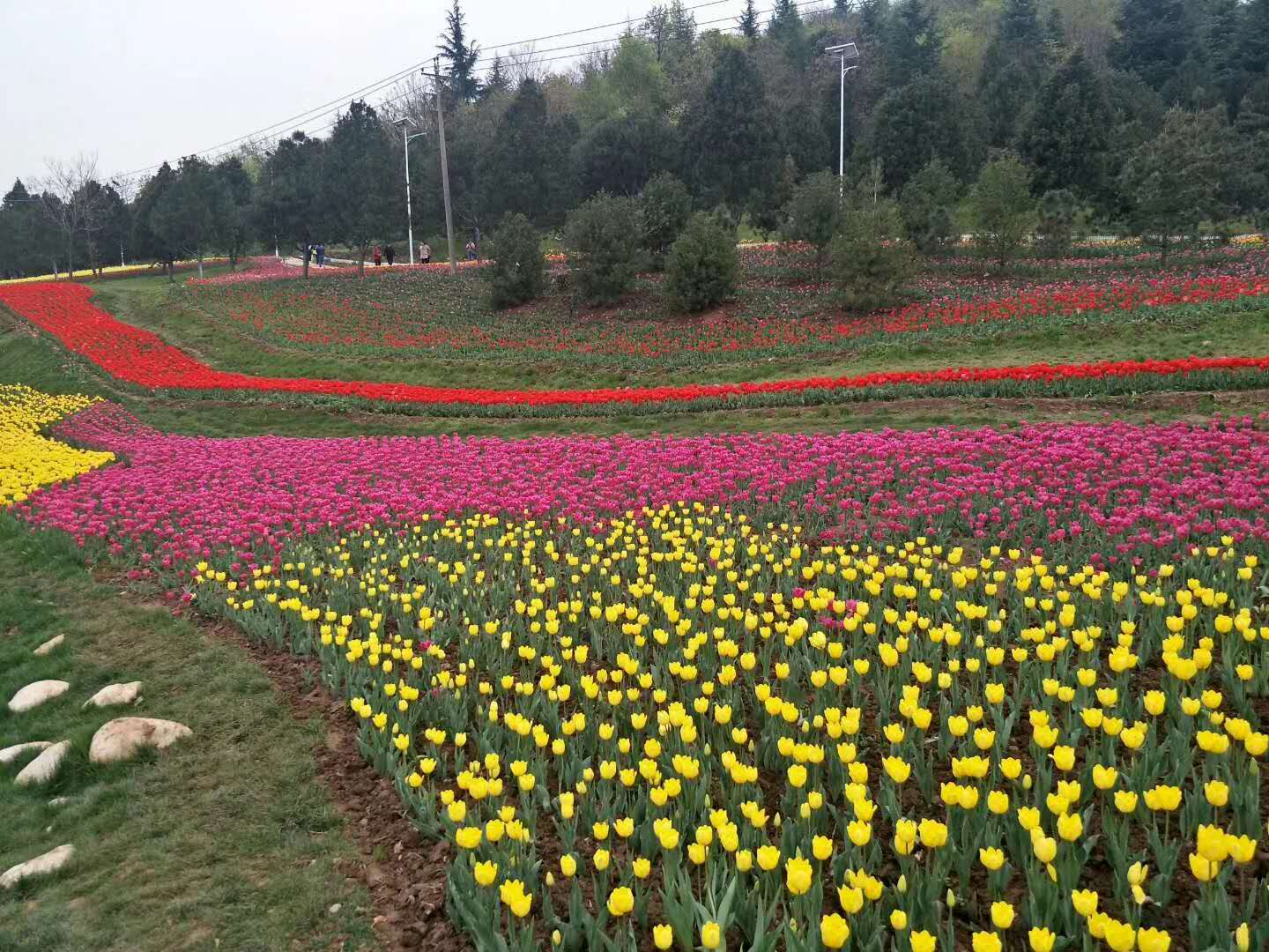 关于清明节的诗五首（清明节抒情诗词有哪些）