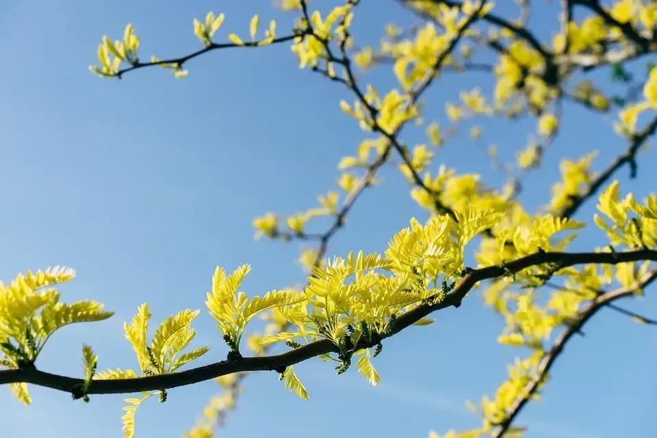 人到中年无奈与心酸句子（人到中年感悟人生的句子 经典）