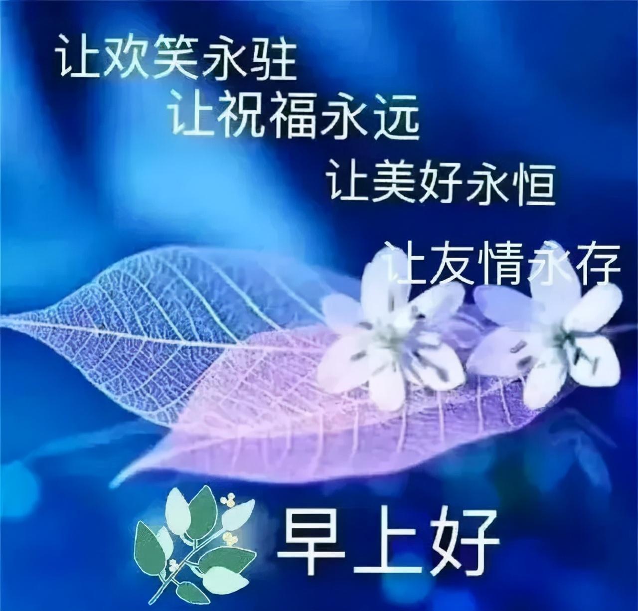 凡事看淡一些，不牵挂，不计较，是是非非无所谓，早安语录